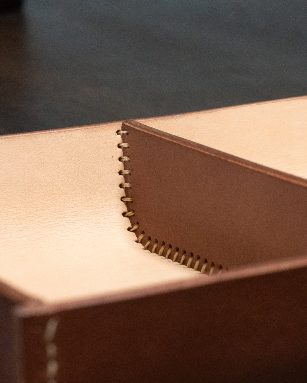 Leather Tray with compartments Pattern